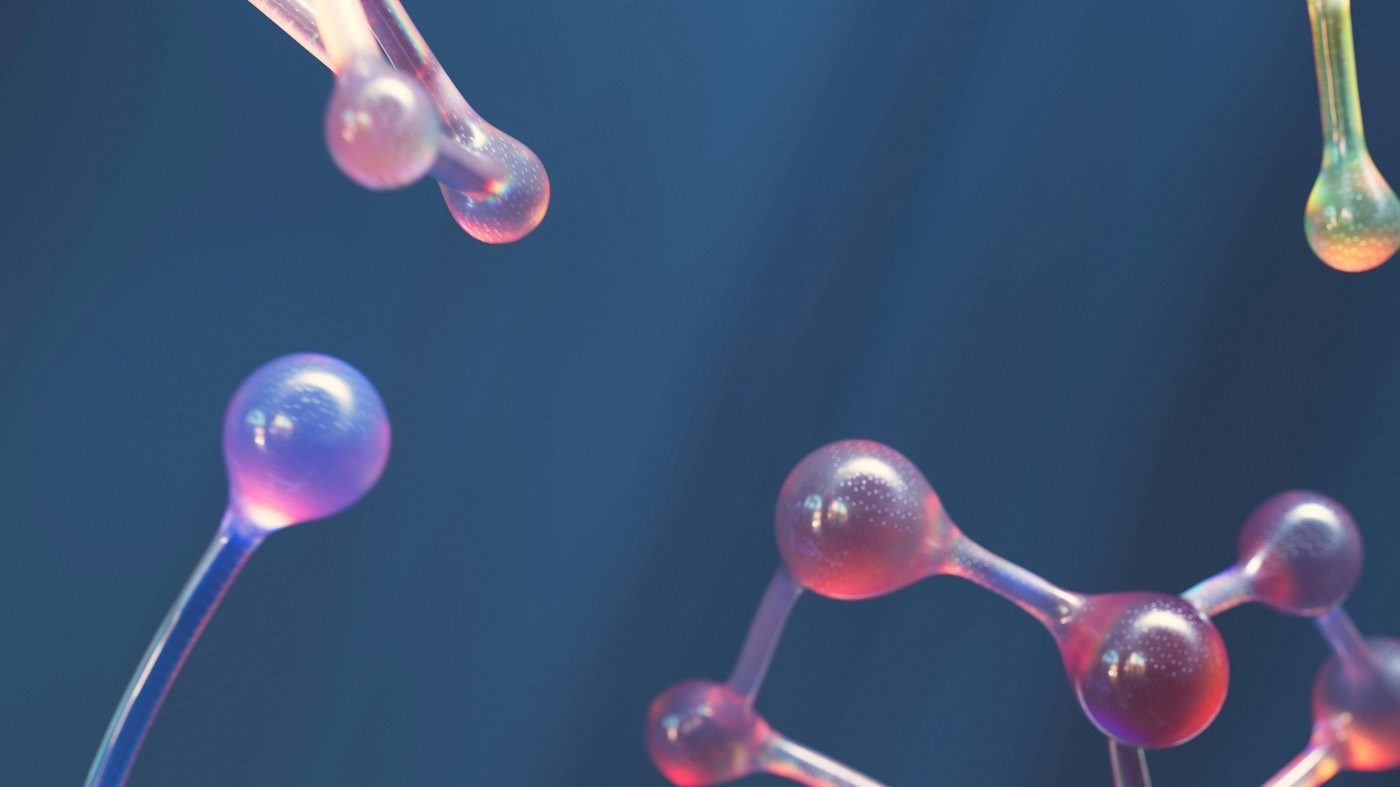 Banner 11